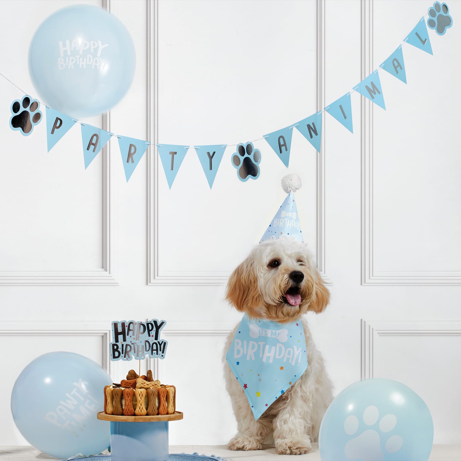 Let's Party Pet Birthday Kit, product image 2